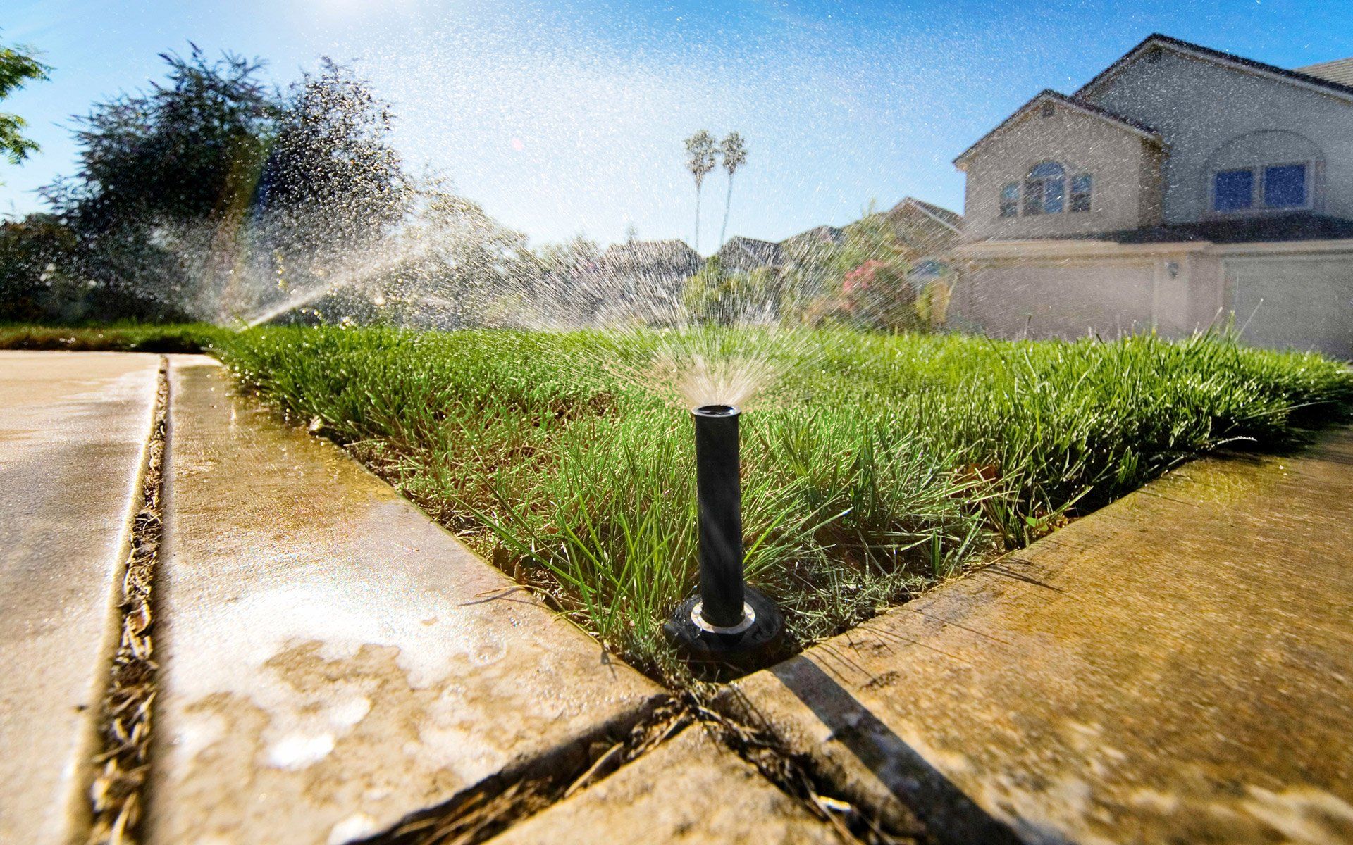 Black Color Sprinkler — Corpus Christi, TX — Hebert Irrigation