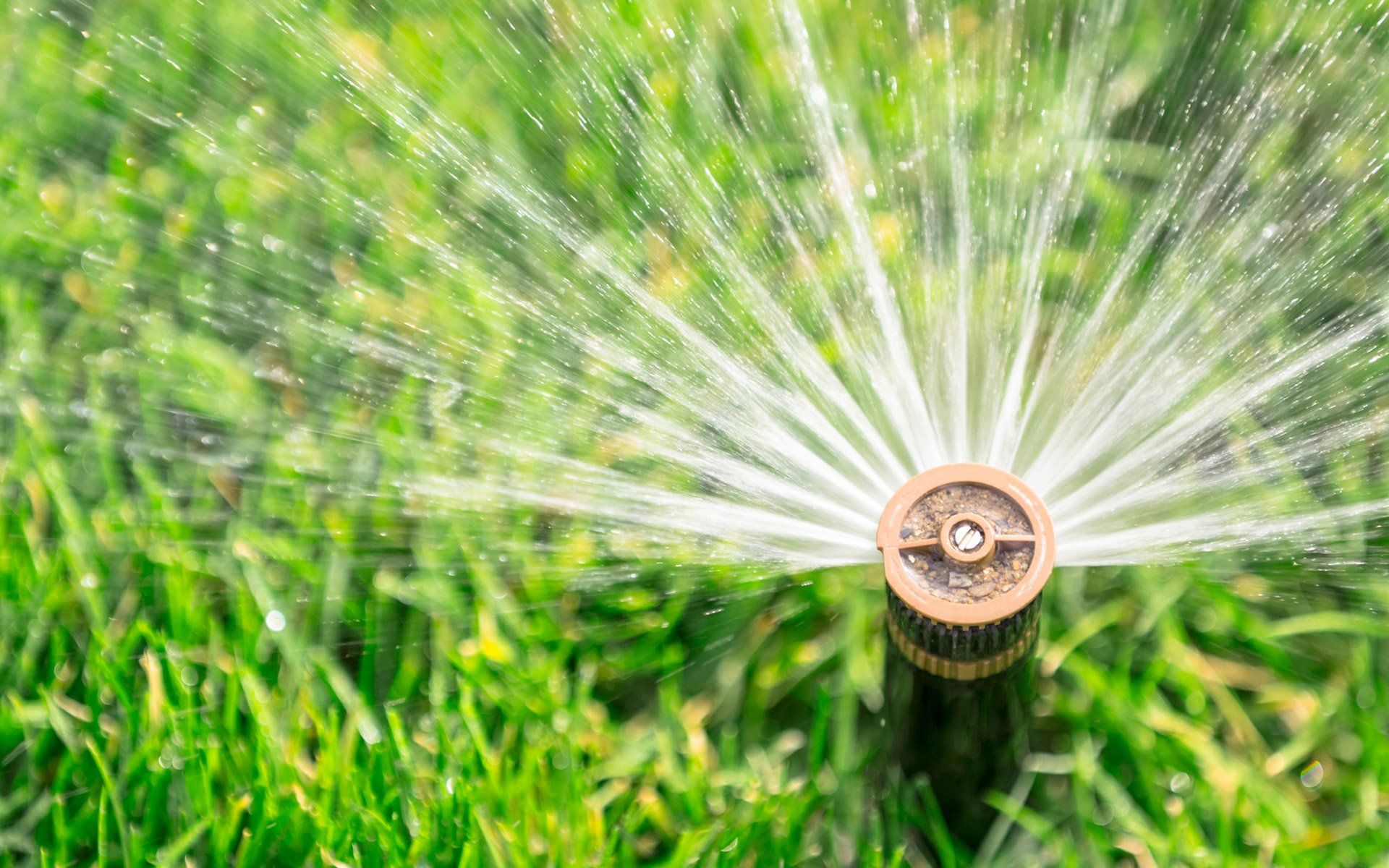 Amazing Sprinkler — Corpus Christi, TX — Hebert Irrigation