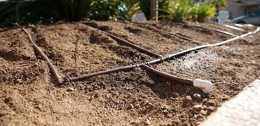 Lawn Sprinkler — Corpus Christi, TX — Hebert Irrigation