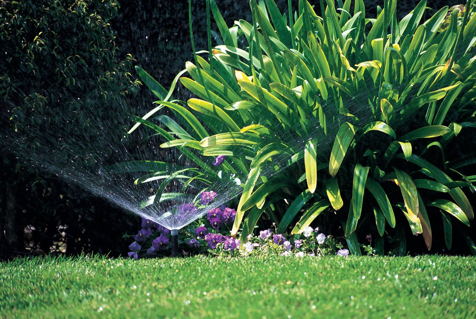 Installing Sprinkler — Corpus Christi, TX — Hebert Irrigation