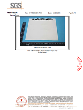 cupstock paper cup raw materials is used in making disposable paper cups/coffee cups