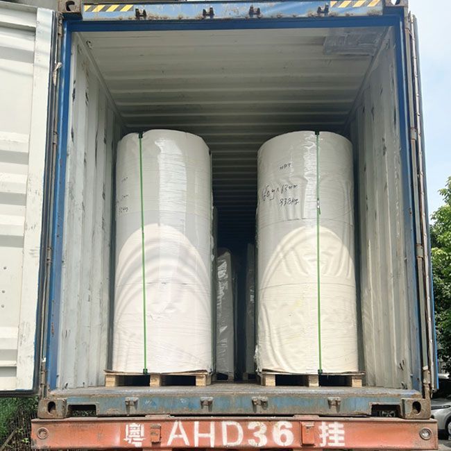 PE coated bottom roll for paper cup raw materials