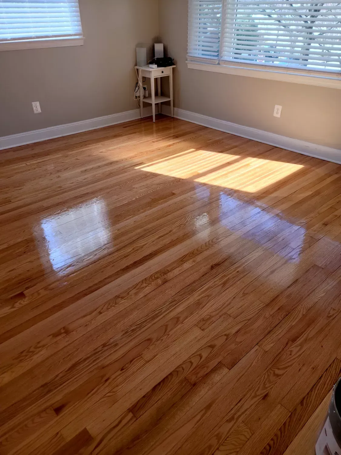 A living room with hardwood floors and two windows.