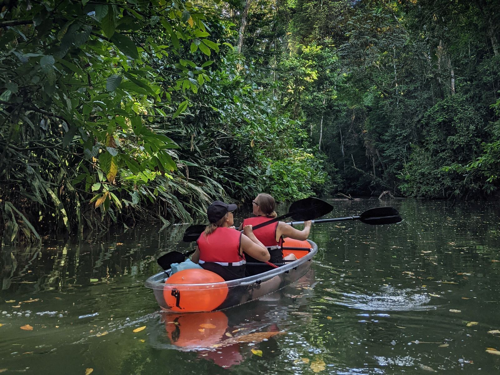 Two travelers paddling in a clear kayak through the jungle estuary of Punta Uva, Costa Rica.