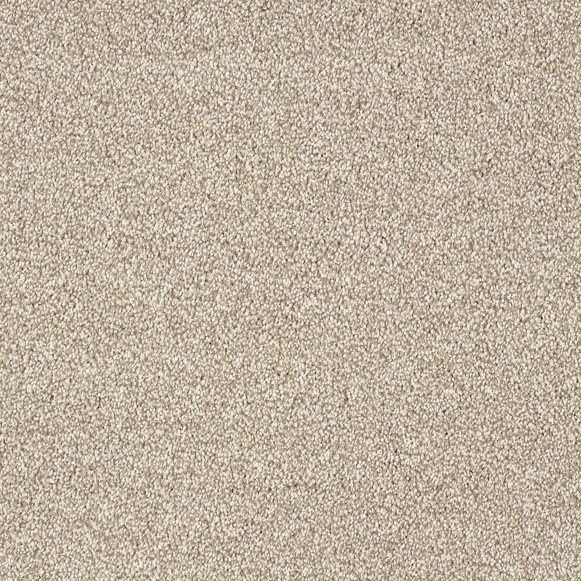 Stainfree indulgence