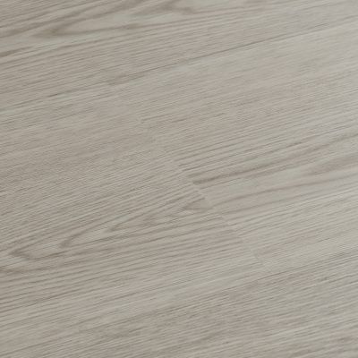 Seashell Oak