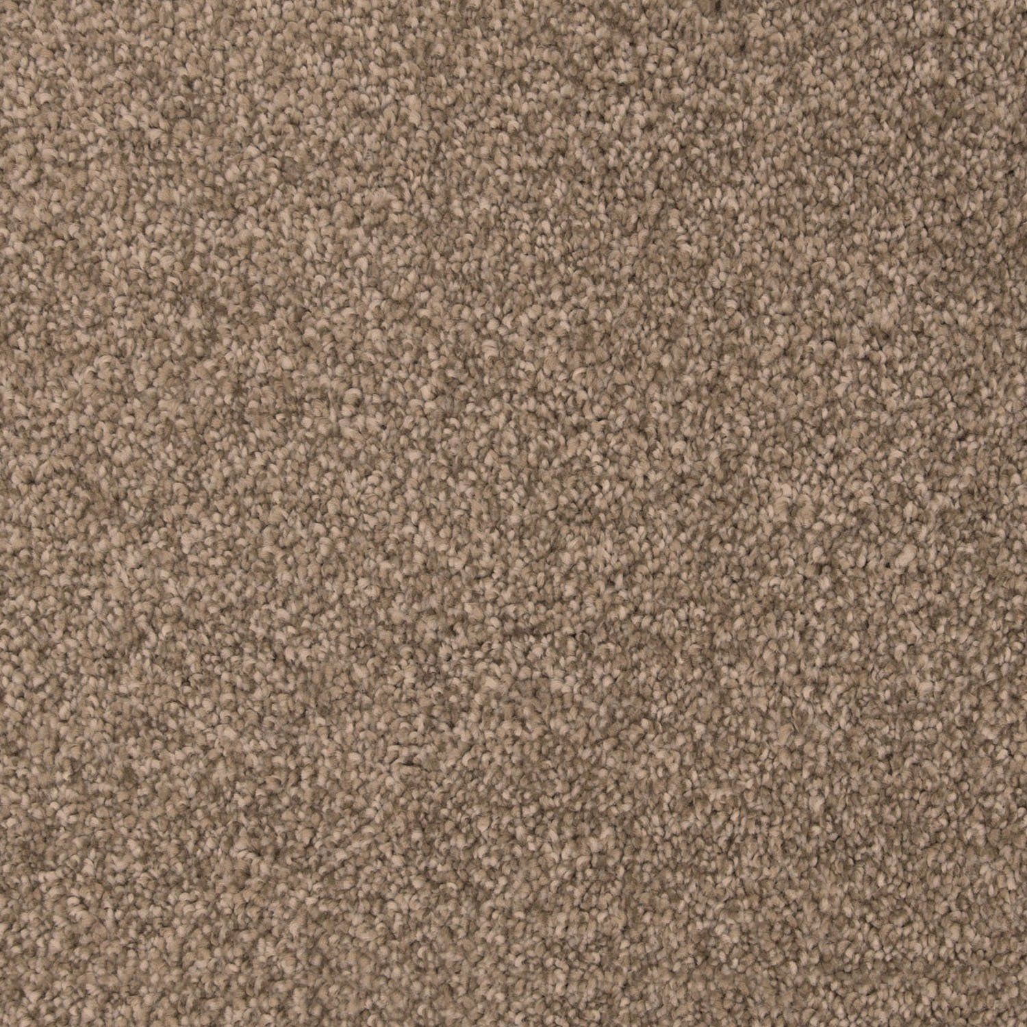 Cornsilk