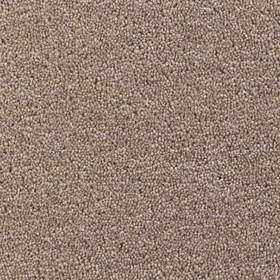 Donkey Stone