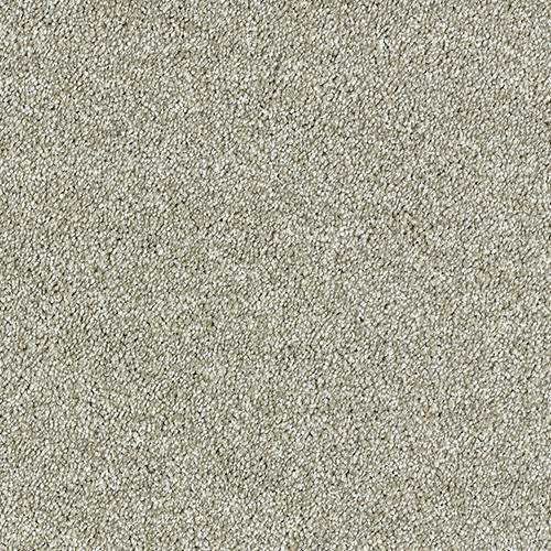 Dove Grey