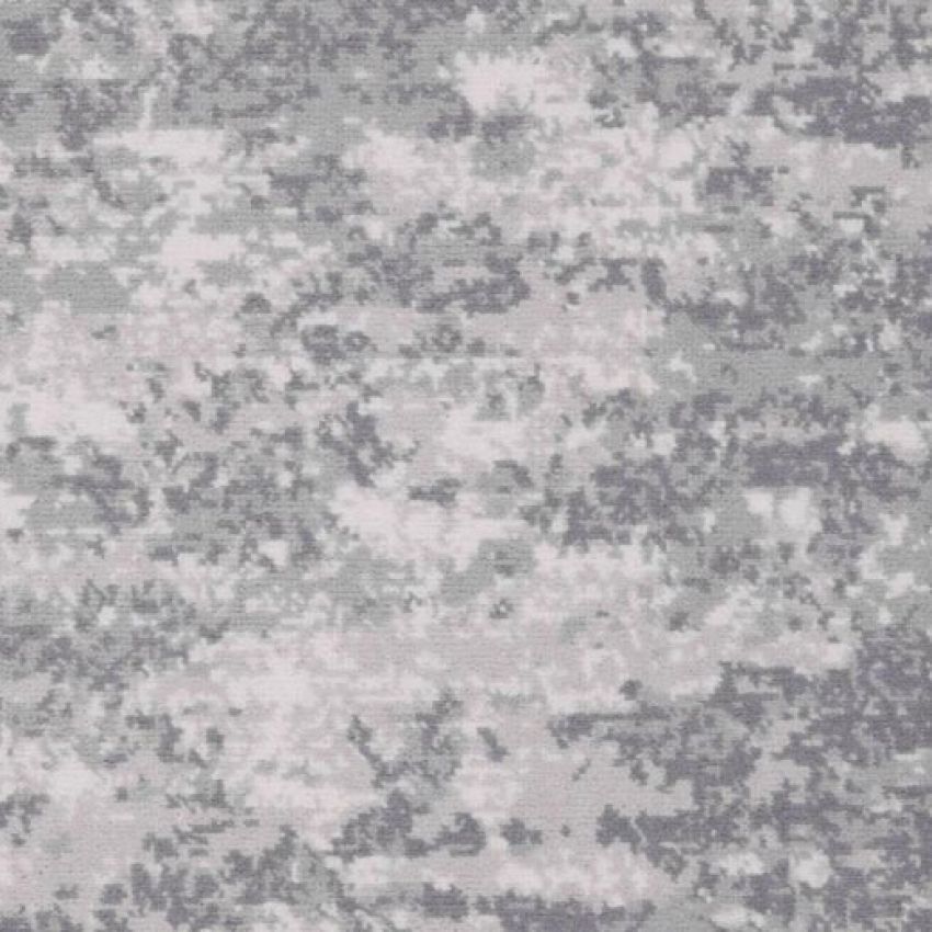 Fossil Hunting Pebble