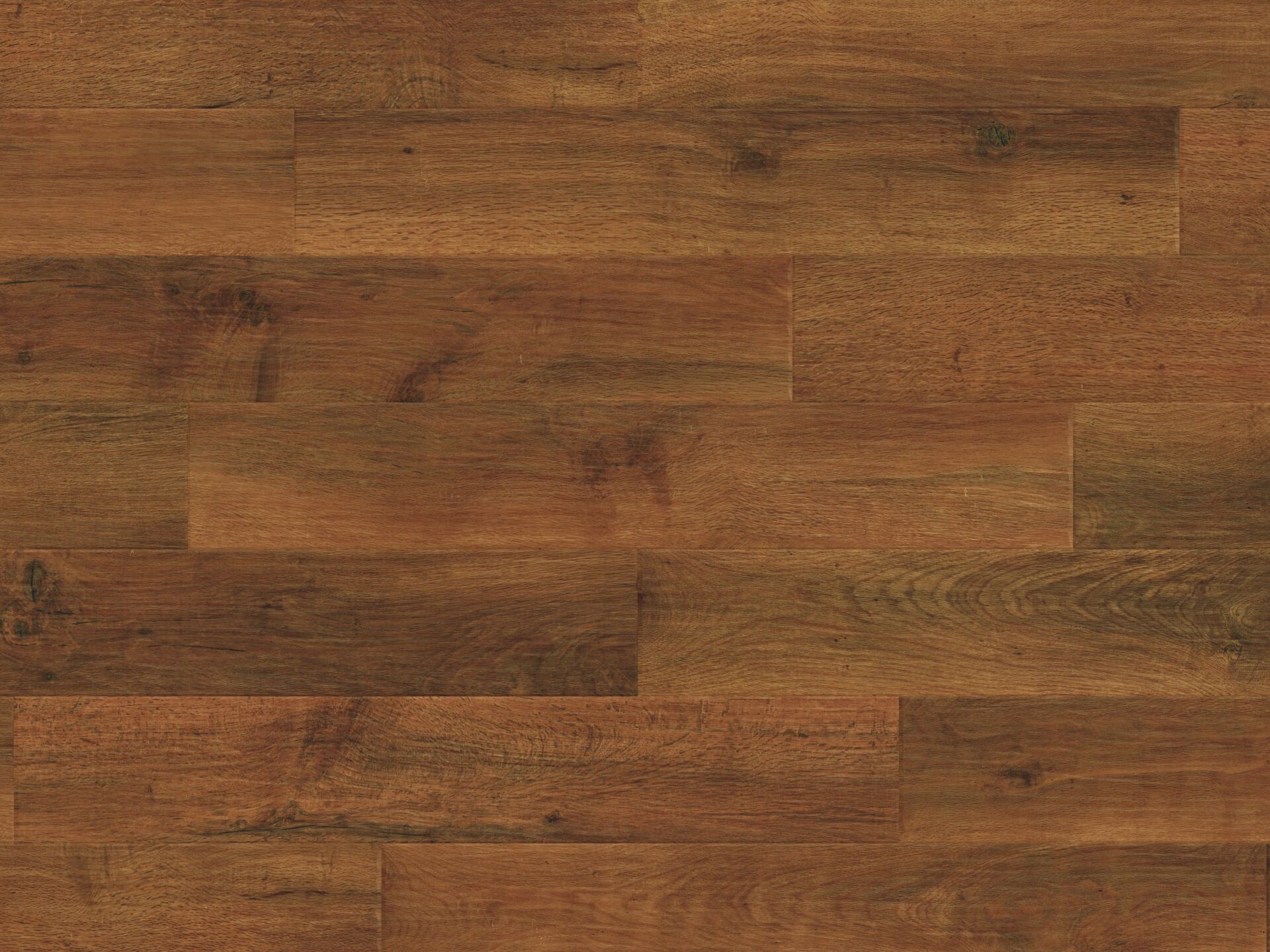 Dawn Oak