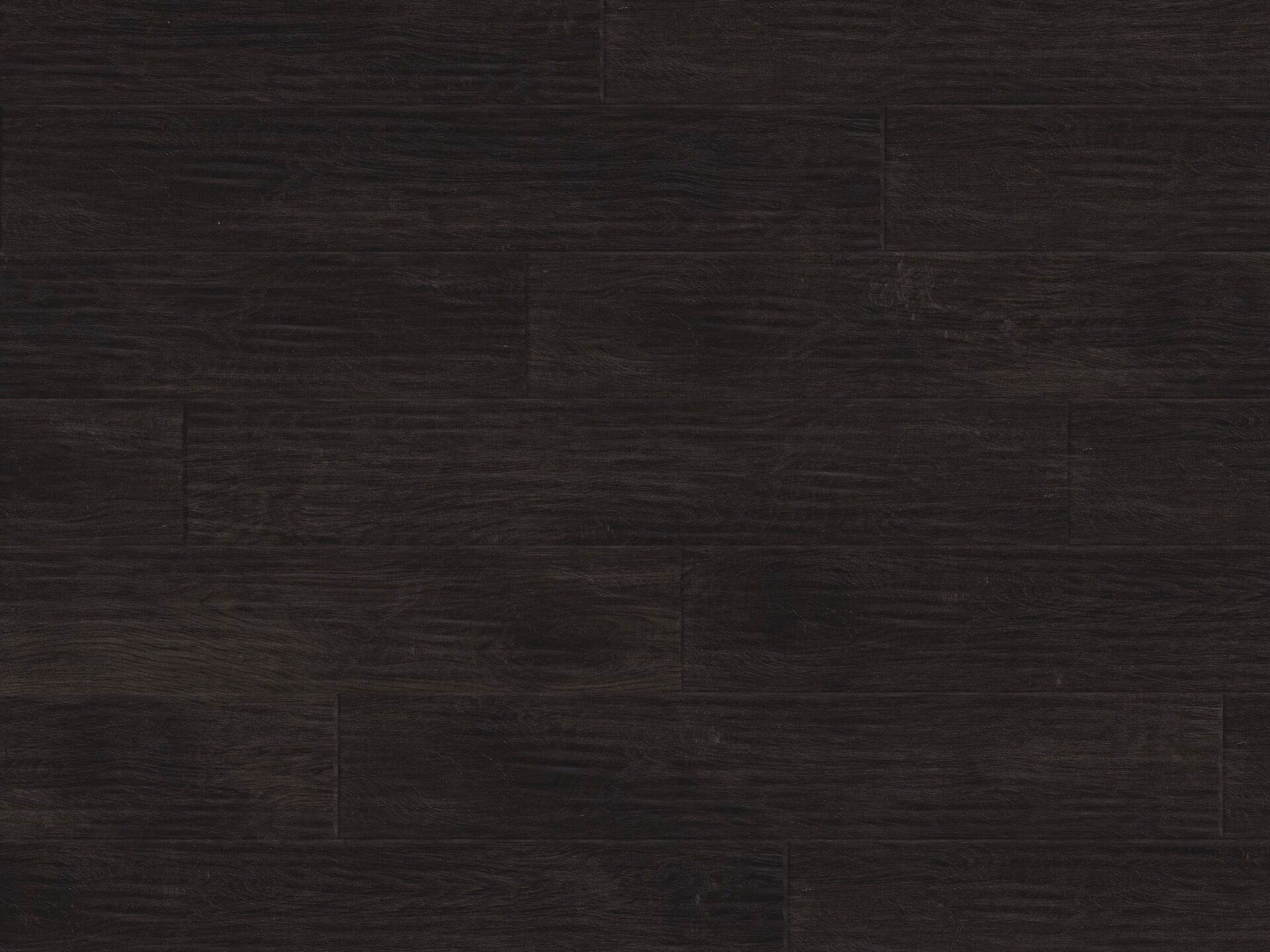 Midnight Oak