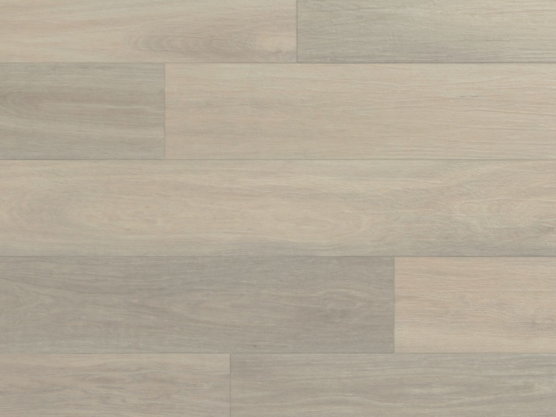 Glacier Oak