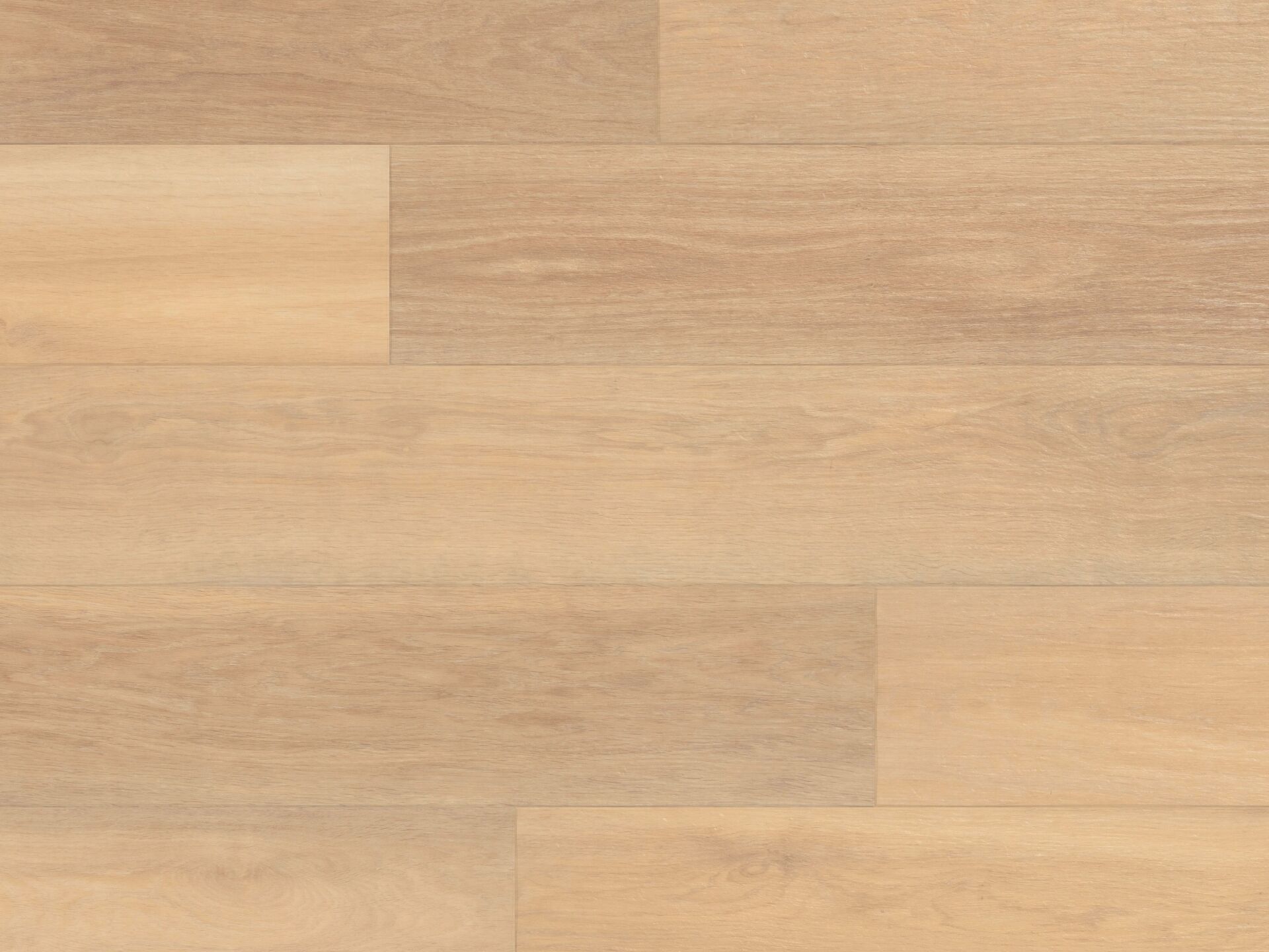 Savannah Oak