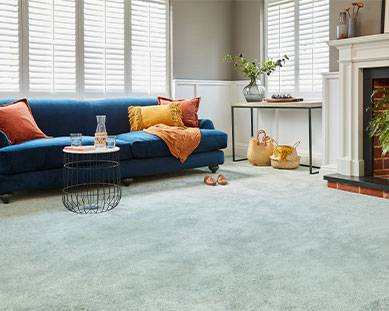 Stainfree Sophisticat