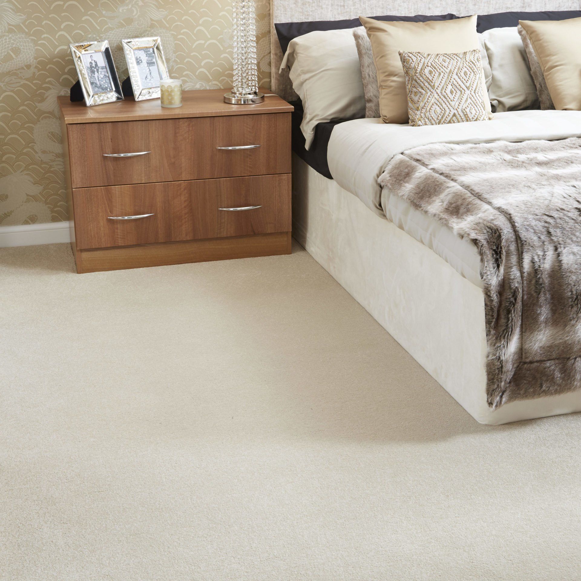 Stainfree Arena Plus