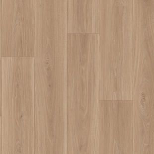 Noce Classico Beige