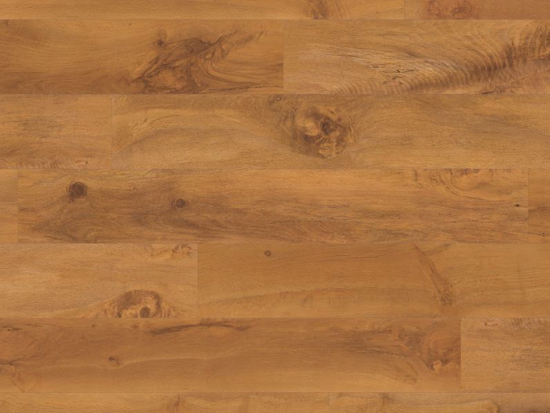 Wellington Oak