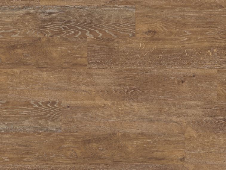 Hessian Oak