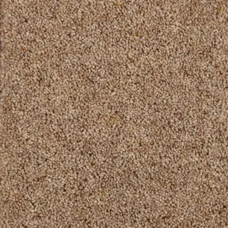 Kingsmead Vitronic Berber