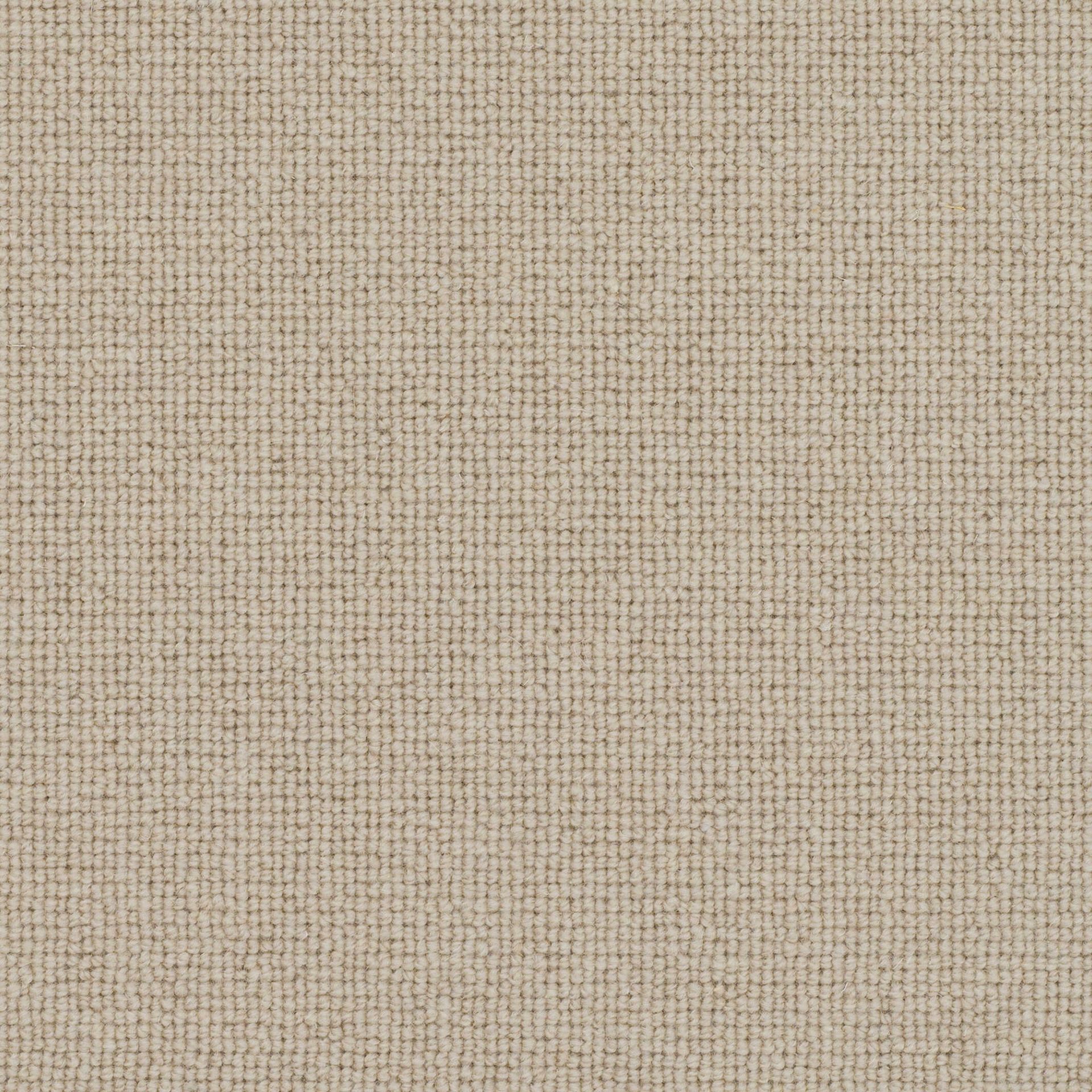 Victoria Tudor Co-ordinates
