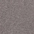 Paynes Grey