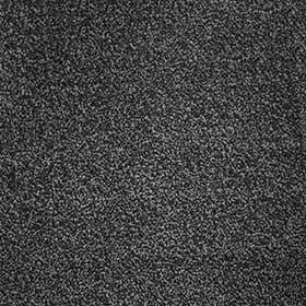 Invictus Severus and Septimus