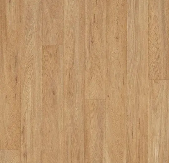 Classic Oak