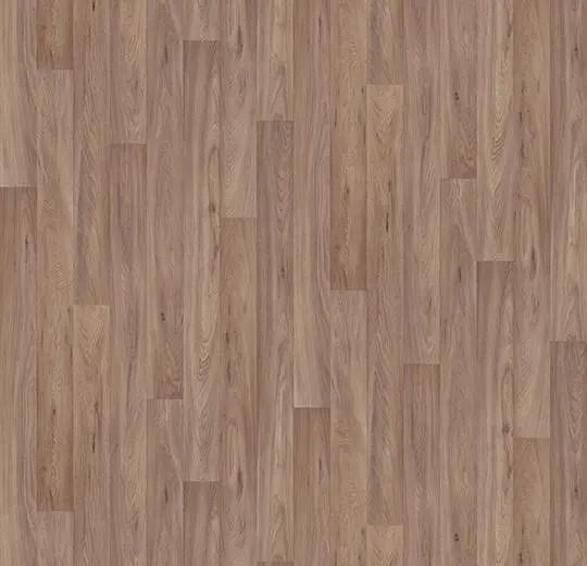 Damp Oak
