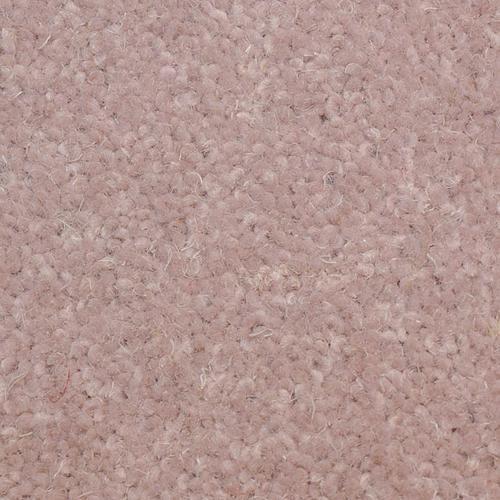 Flamingo Blush