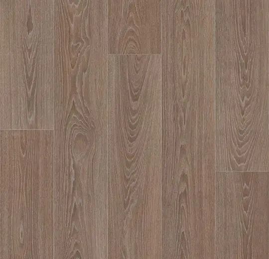 Hazelnut Timber