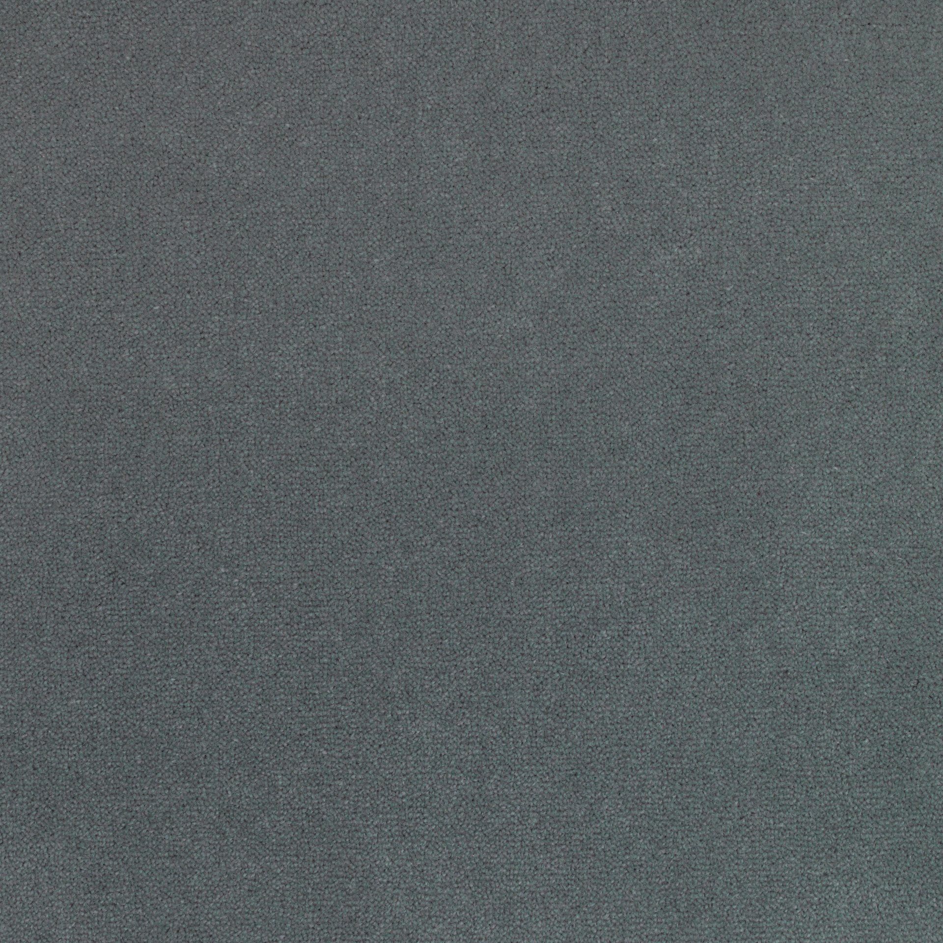 Nascot