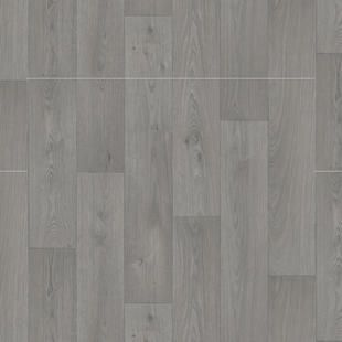 Swan Dark Grey