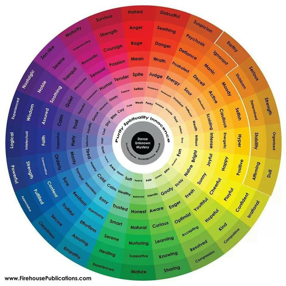 Color Wheel - Seattle, WA - Blend Interior Design Studio