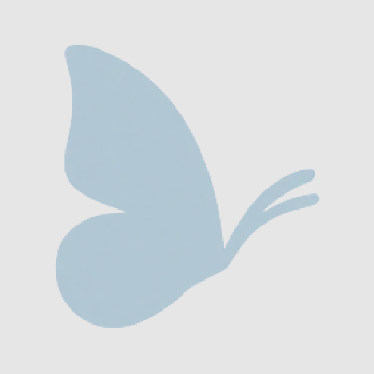 Light blue butterfly silhouette on a gray background.