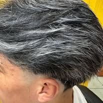 Close-up of a person's head, showing short, layered, salt and pepper hair with a clean-shaved hairline.