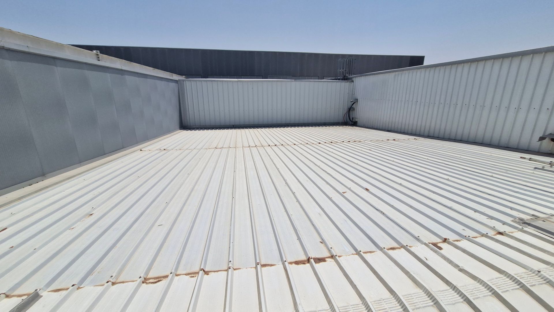 A small plant grows out of a weathered metal roof with rust spots.