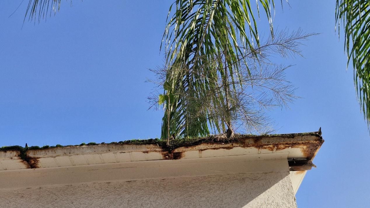Brown, weathered roof edge with vegetation against a blue sky.