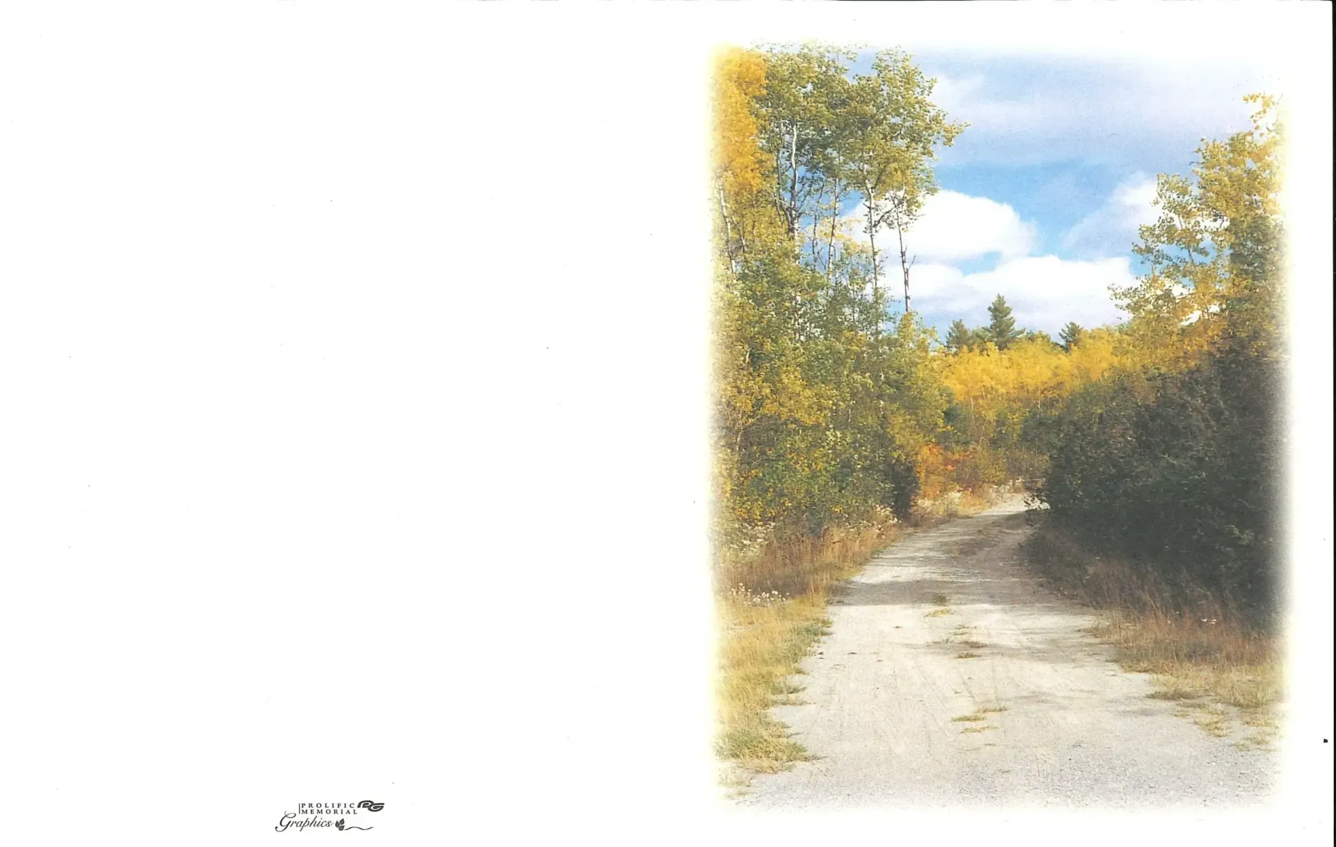 Gravel path winding through trees with yellow and green leaves under a partly cloudy sky.