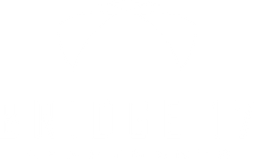 Bridge 17 Logo