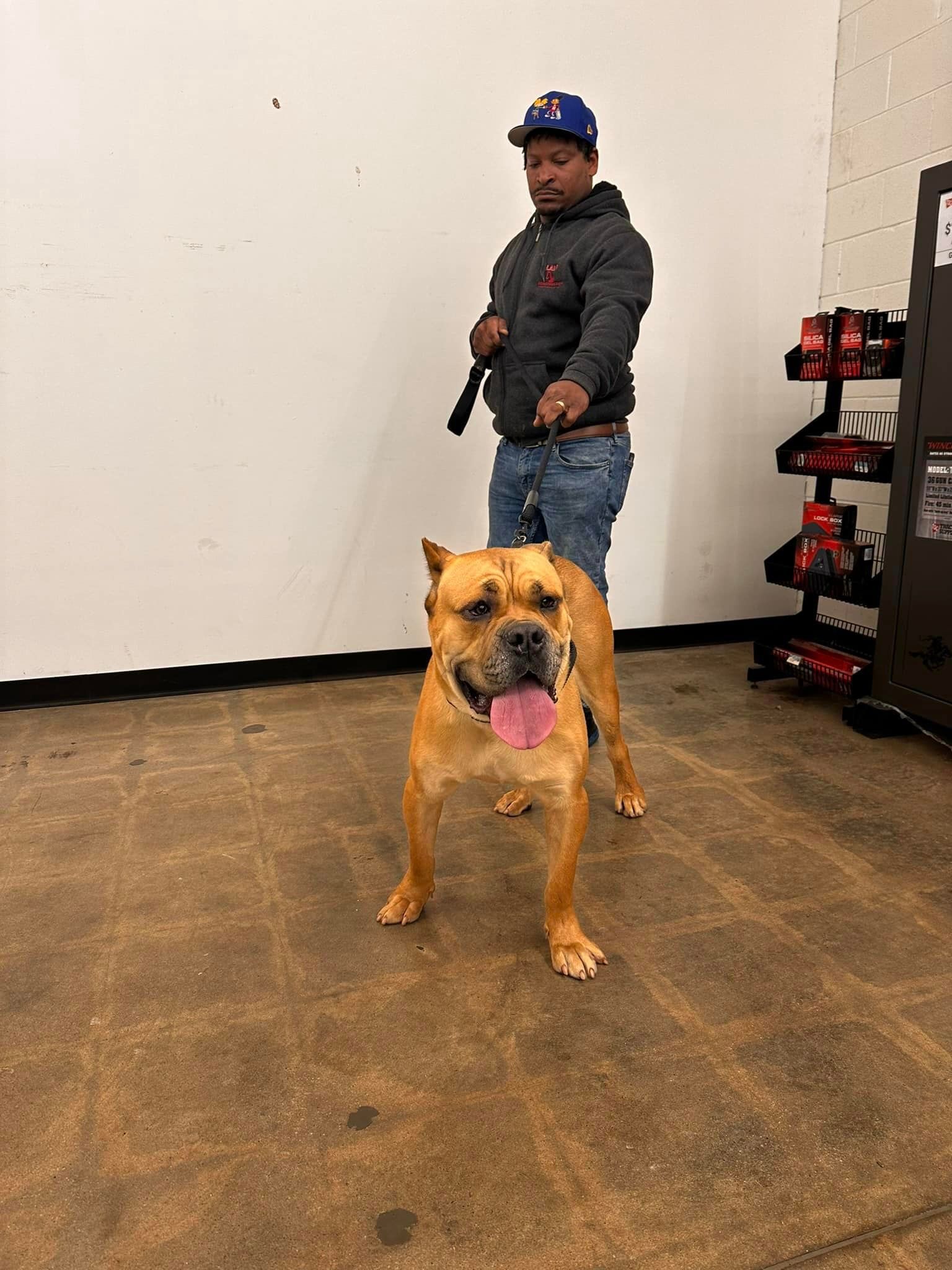 A man is standing next to a dog on a leash in a room.
