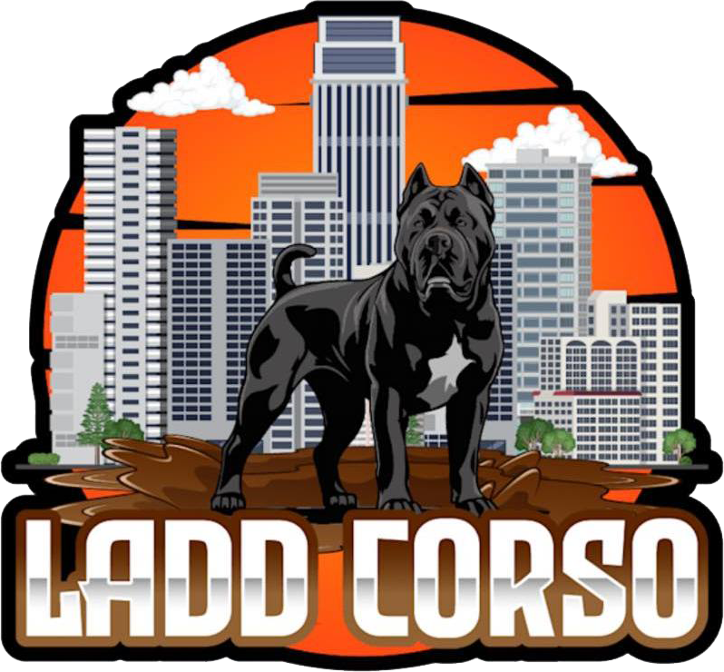 Ladd Corso