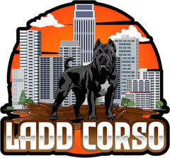 Ladd Corso