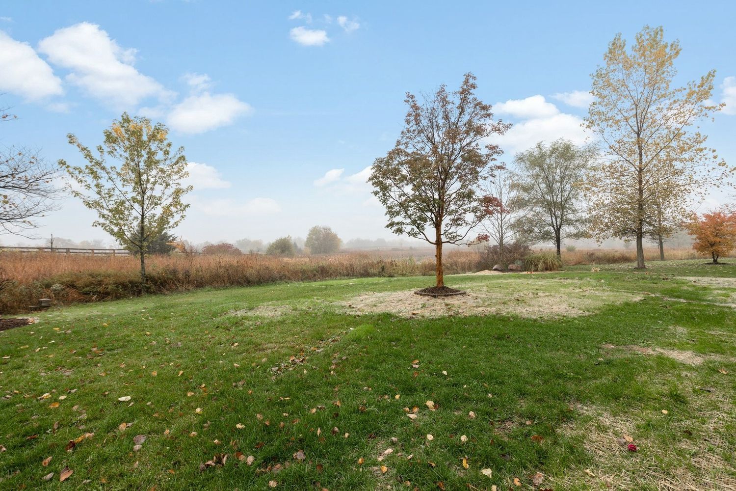 Grassy backyard with trees, field in background, cloudy sky. Fall colors.