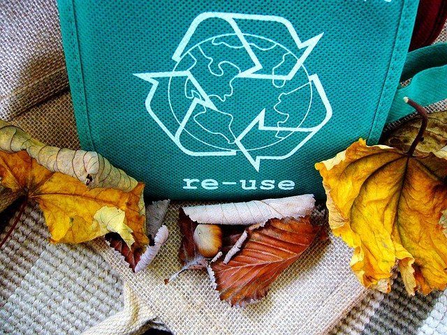 Recycling bag surrounded by dry leaves.