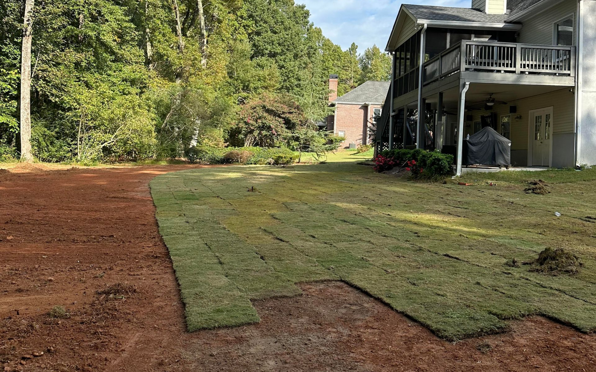How Sod Can Rescue Your Lawn