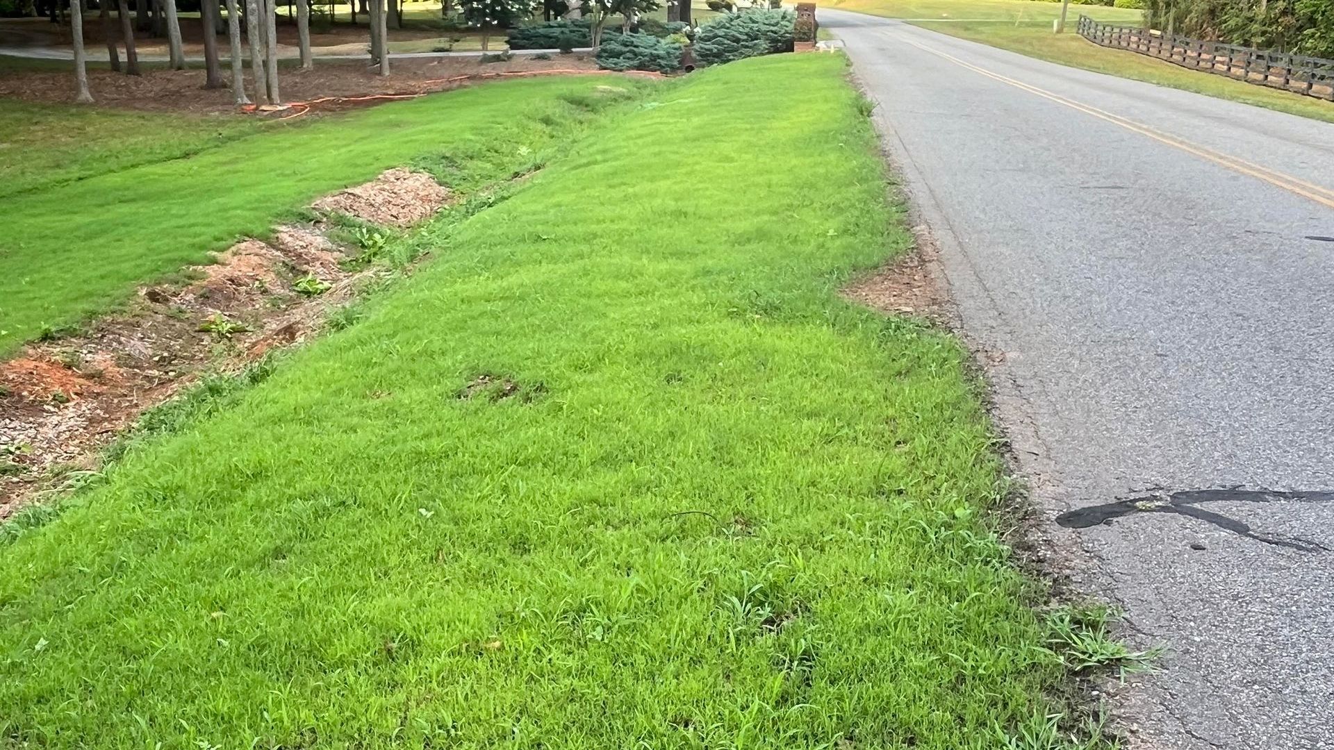 hydroseeding hydroseeding