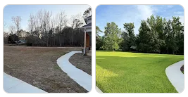 before & after hydroseeding lawn