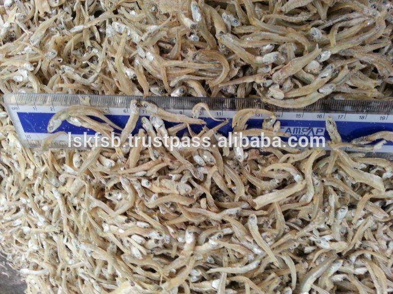 Dried anchovies scattered with a ruler for scale, in a close-up shot.