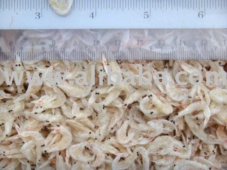 Dried shrimp, pale with dark spots, scattered under a ruler, viewed from above.